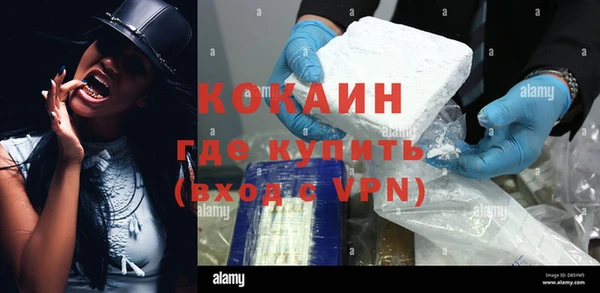 прущие грибы Наволоки