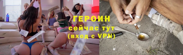 прущие грибы Наволоки