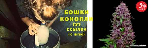 прущие грибы Наволоки