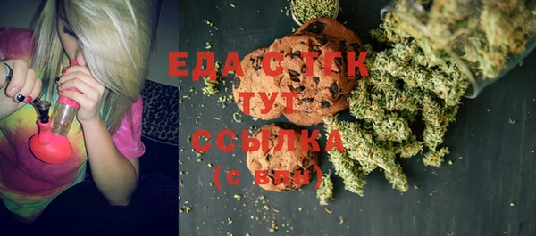 прущие грибы Наволоки