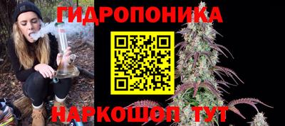 гидра Анжеро-Судженск