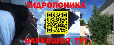 гидра Анжеро-Судженск